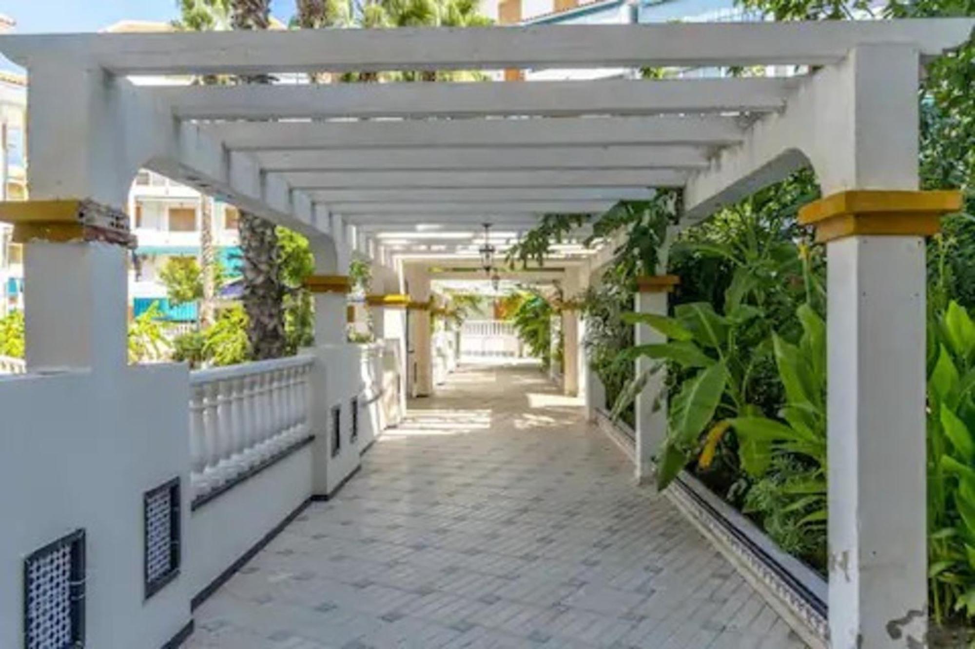 Pmt17 - Penthouse Apartment With Pool And Close To Beach La Mata  Eksteriør bilde